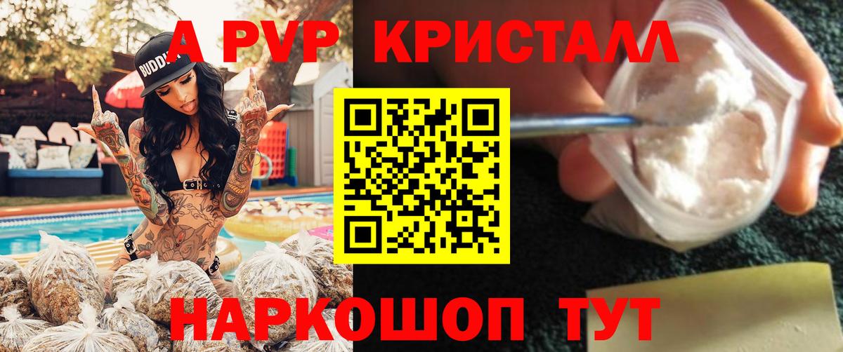 A-PVP СК КРИС Воркута