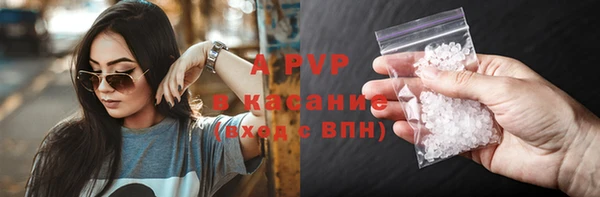стаф Дмитриев
