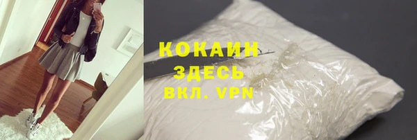 соль ск Дмитровск
