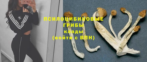 стаф Дмитриев