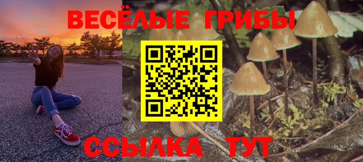 Воркута  Галлюциногенные грибы мухоморы  Вход с VPN 