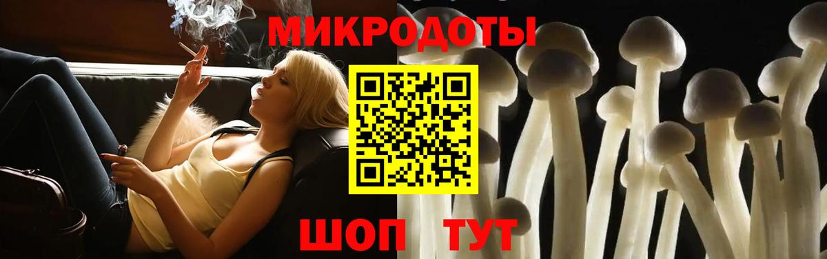 закладка  Воркута  Псилоцибиновые грибы Magic Shrooms 